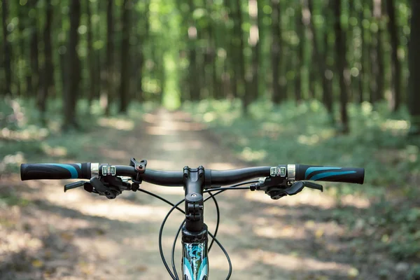 Mountainbiken — Stockfoto