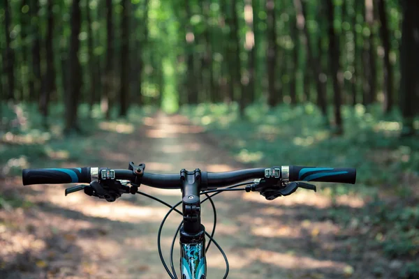 Mountainbiken — Stockfoto