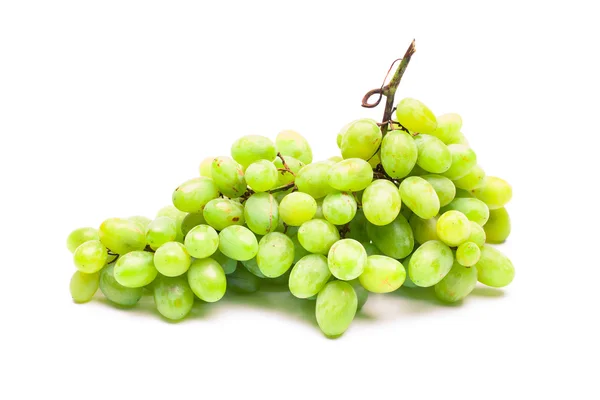 Vine isolated — Stock Photo, Image