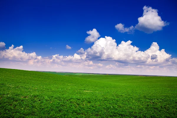 Green grass and sky — Stock Photo, Image