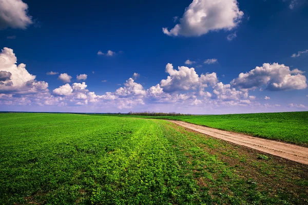 yeşil çimen ve gökyüzü