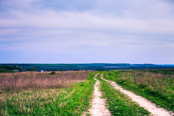 Grönt fält med himmel — Stockfoto