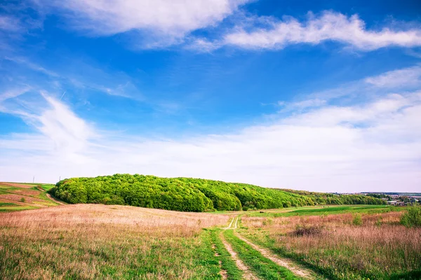 Grönt fält med himmel — Stockfoto