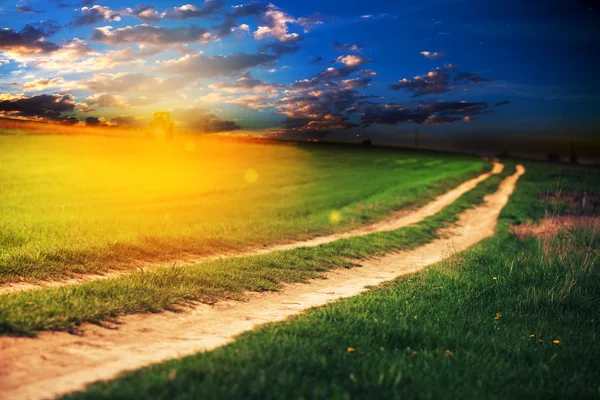 Green field with sky — Stock Photo, Image