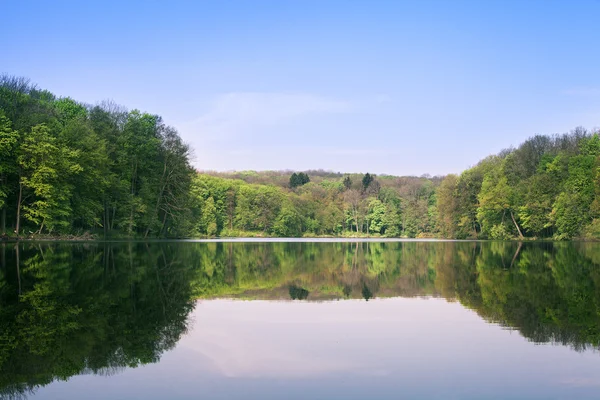 Forêt pittoresque et rivière — Photo