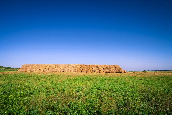 Hay-roll on meadow — Stock Photo, Image