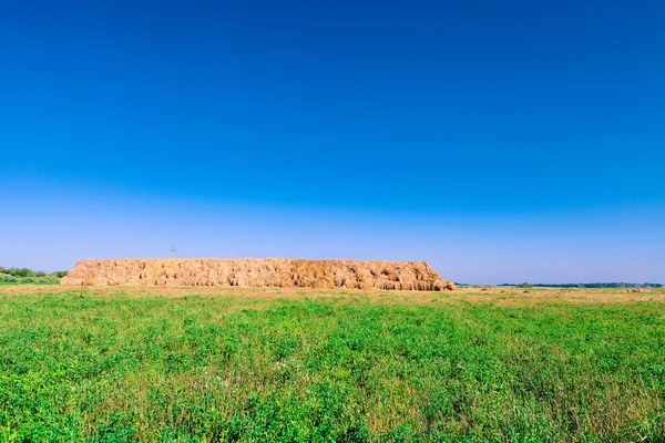 Hay-roll on meadow — Stock Photo, Image