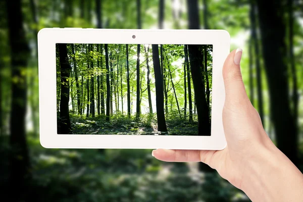 Tablet-Computer — Stockfoto