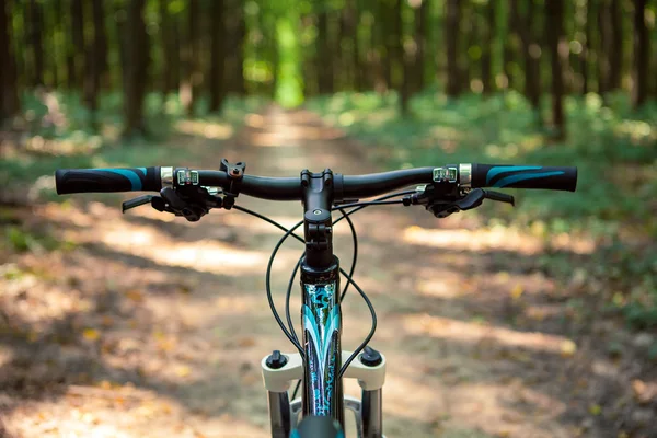 Ciclismo de montaña colina abajo descendiendo rápido en bicicleta. Vista desde — Foto de Stock