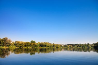 Resimli orman ve nehir.