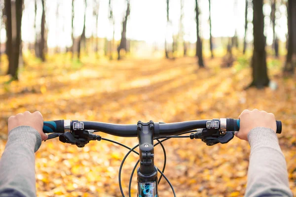 Ciclismo de montaña colina abajo descendiendo rápido en bicicleta. Vista desde — Foto de Stock