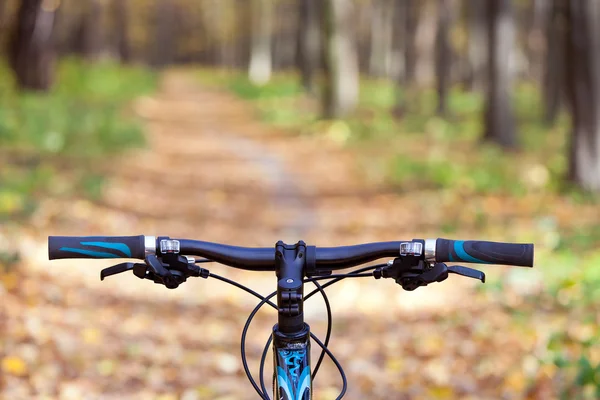 Dağ bisikleti hızlı bisiklet üzerinde azalan tepeden aşağı. Üzerinden görüntülemek — Stok fotoğraf