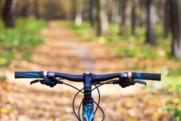 Ciclismo de montaña colina abajo descendiendo rápido en bicicleta. Vista desde — Foto de Stock