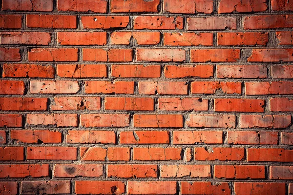 Old grunge brick wall background — Stock Photo, Image