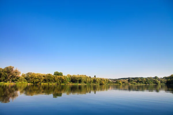 Picturesque forest and the river — Stock Photo, Image