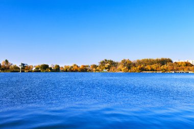 Resimli orman ve nehir.