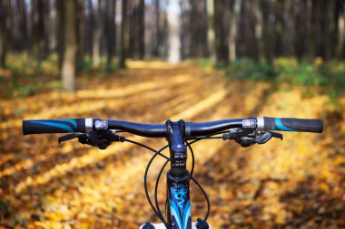 Dağ bisikleti hızlı bisiklet üzerinde azalan tepeden aşağı. Üzerinden görüntülemek
