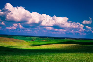 Yeşil Alan ve Güzel Gün Batımı