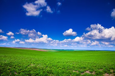 Yeşil Alan ve Güzel Gün Batımı