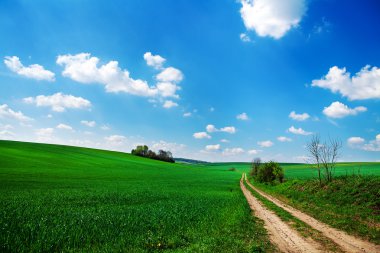 Yeşil Alan ve Güzel Gün Batımı