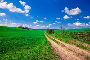 Yeşil Alan ve Güzel Gün Batımı