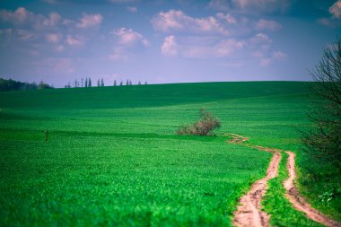 Yeşil Alan ve Güzel Gün Batımı