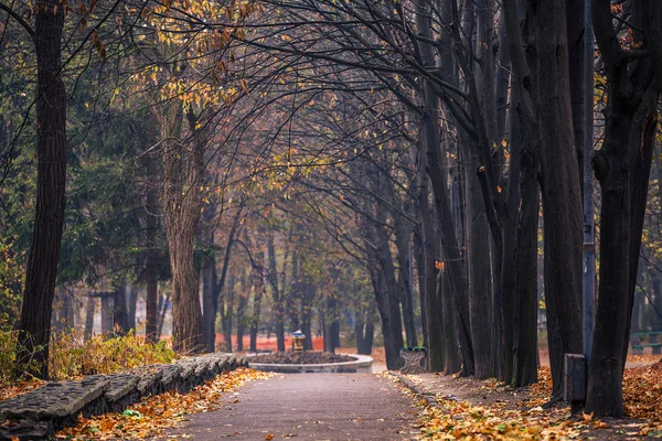 Осінь в парку — стокове фото