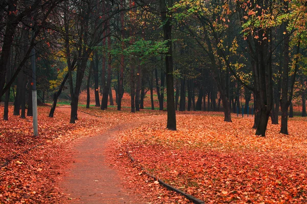 Autumn in the park — Stock Photo, Image