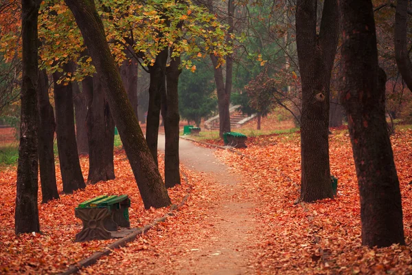 Herfst in het park — Stockfoto