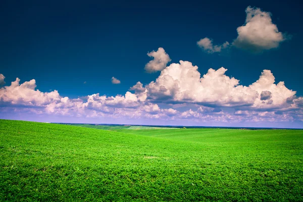 青い天国の美しい朝グリーンフィールド — ストック写真