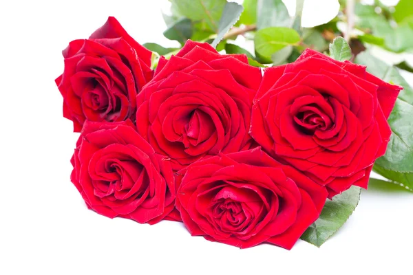 Bouquet of artificial red roses, isolated, space for copy in the — Stock Photo, Image