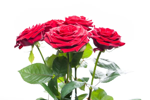 Bouquet di rose rosse artificiali, isolato, spazio per la copia nel — Foto Stock