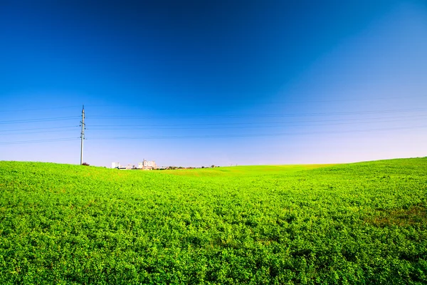 Campo verde e belo pôr do sol — Fotografia de Stock