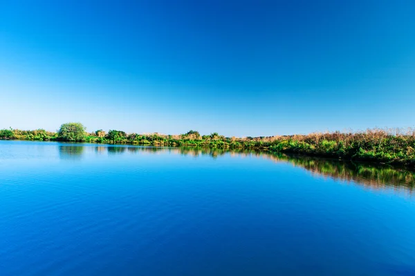 Pintoresco bosque y el río —  Fotos de Stock