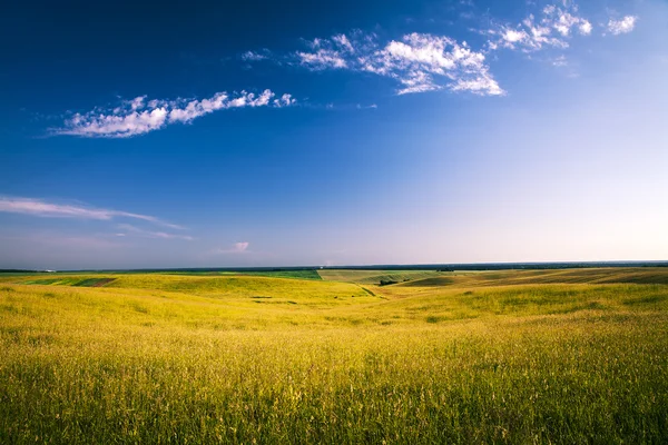 Green Field and Beautiful Sunset — Stock Photo, Image