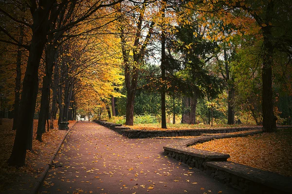 Herfst in het park — Stockfoto