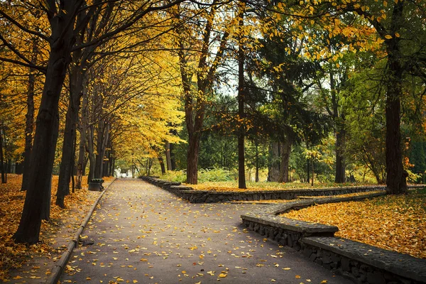 Autumn in the park — Stock Photo, Image