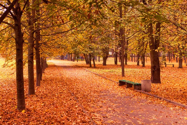 Autumn in the park — Stock Photo, Image