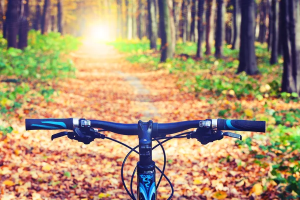 Mountainbiken bergab mit dem Fahrrad schnell abwärts. Blick von — Stockfoto