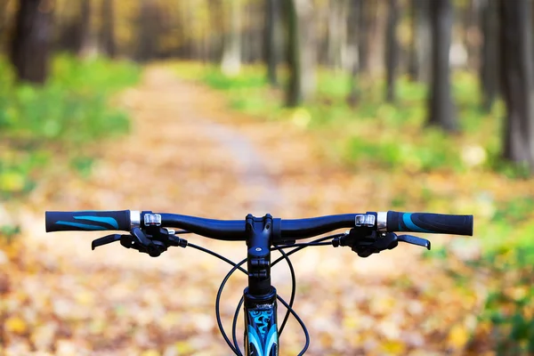 Ciclismo de montaña colina abajo descendiendo rápido en bicicleta. Vista desde — Foto de Stock