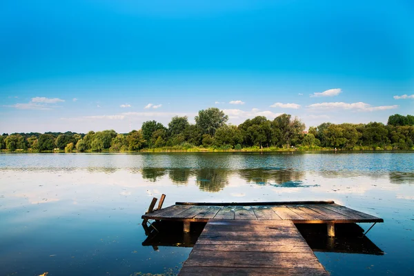 Foresta pittoresca e il fiume — Foto Stock