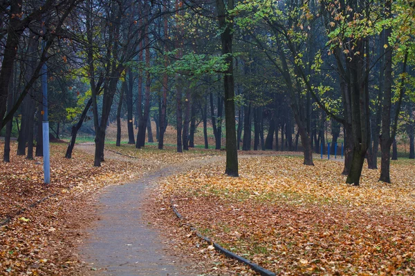 Autumn in the park — Stock Photo, Image