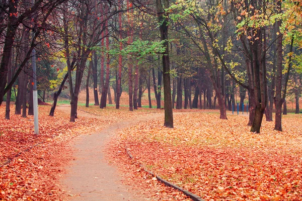 Parkta sonbahar — Stok fotoğraf