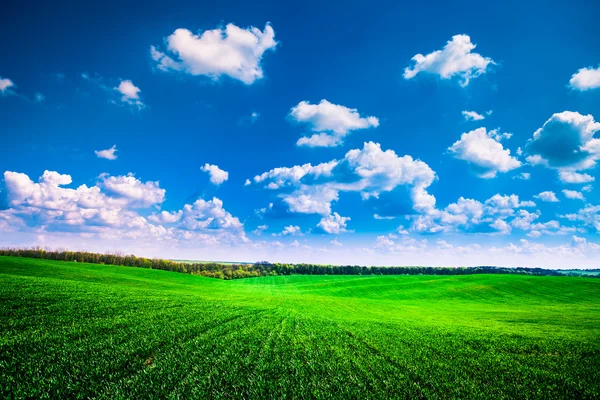 Yeşil Alan ve Güzel Gün Batımı — Stok fotoğraf