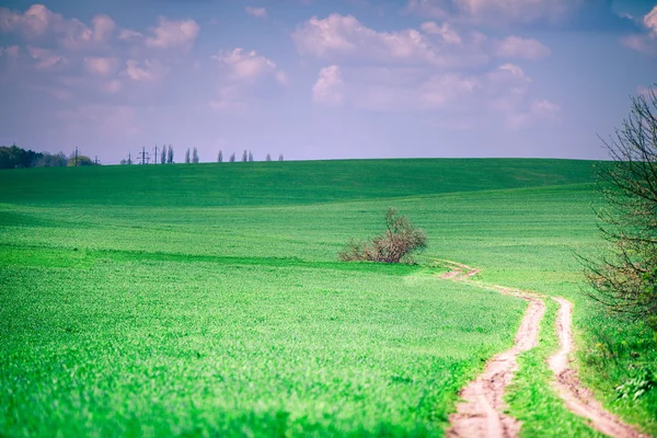 Yeşil Alan ve Güzel Gün Batımı