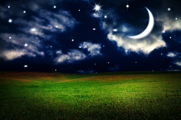 Green field under night sky with moon and stars. Beauty nature background