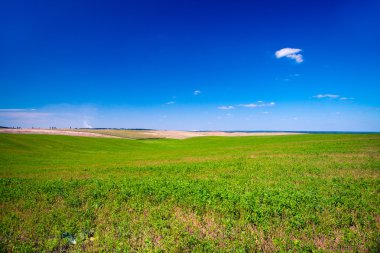 Yeşil Alan ve Güzel Gün Batımı