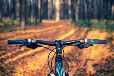 Dağ bisikleti hızlı bisiklet üzerinde azalan tepeden aşağı. Üzerinden görüntülemek