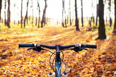 Dağ bisikleti hızlı bisiklet üzerinde azalan tepeden aşağı. Üzerinden görüntülemek