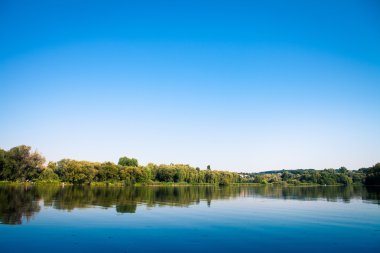 Resimli orman ve nehir.